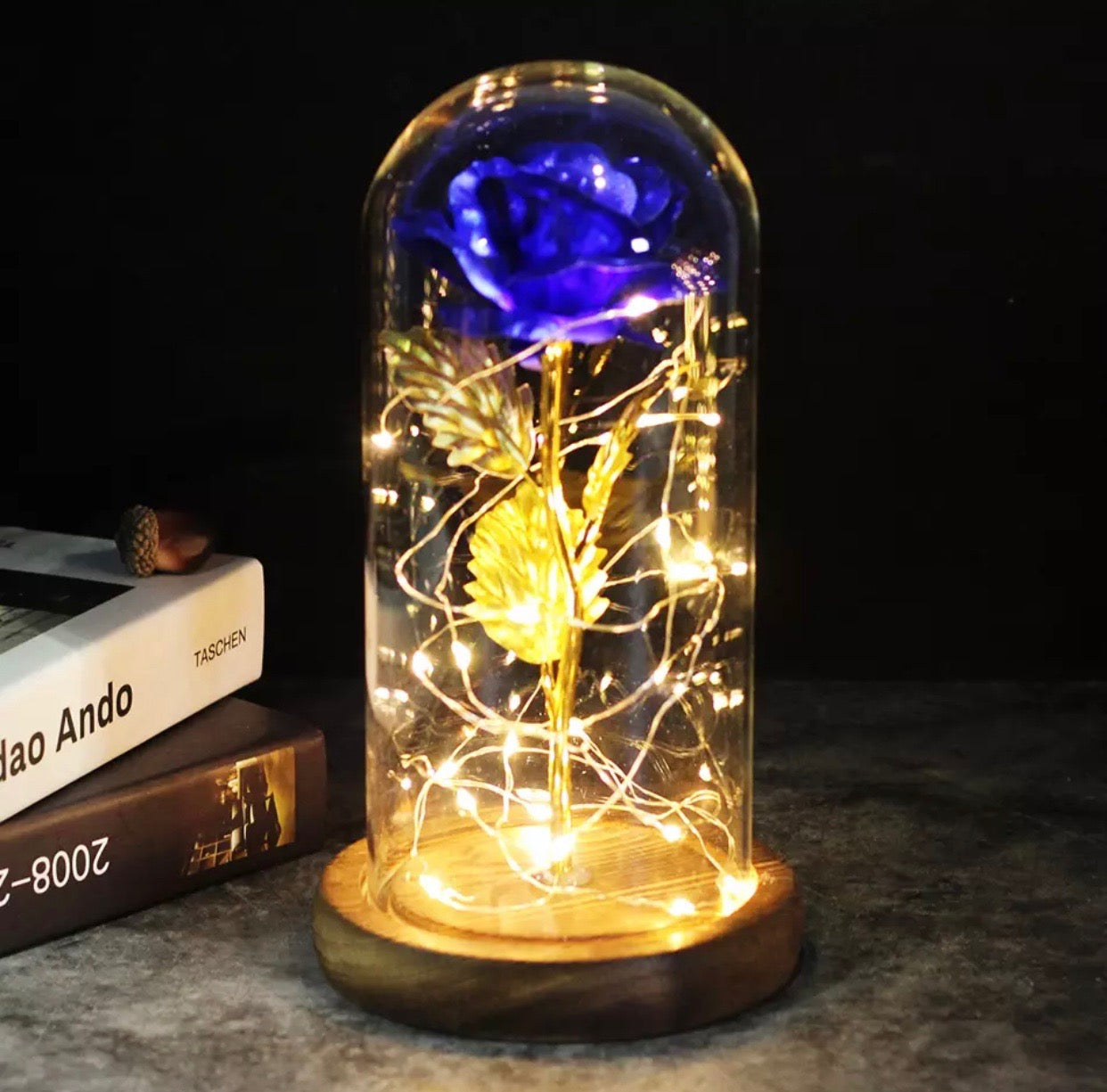 Enchanted Rose - Science Factory