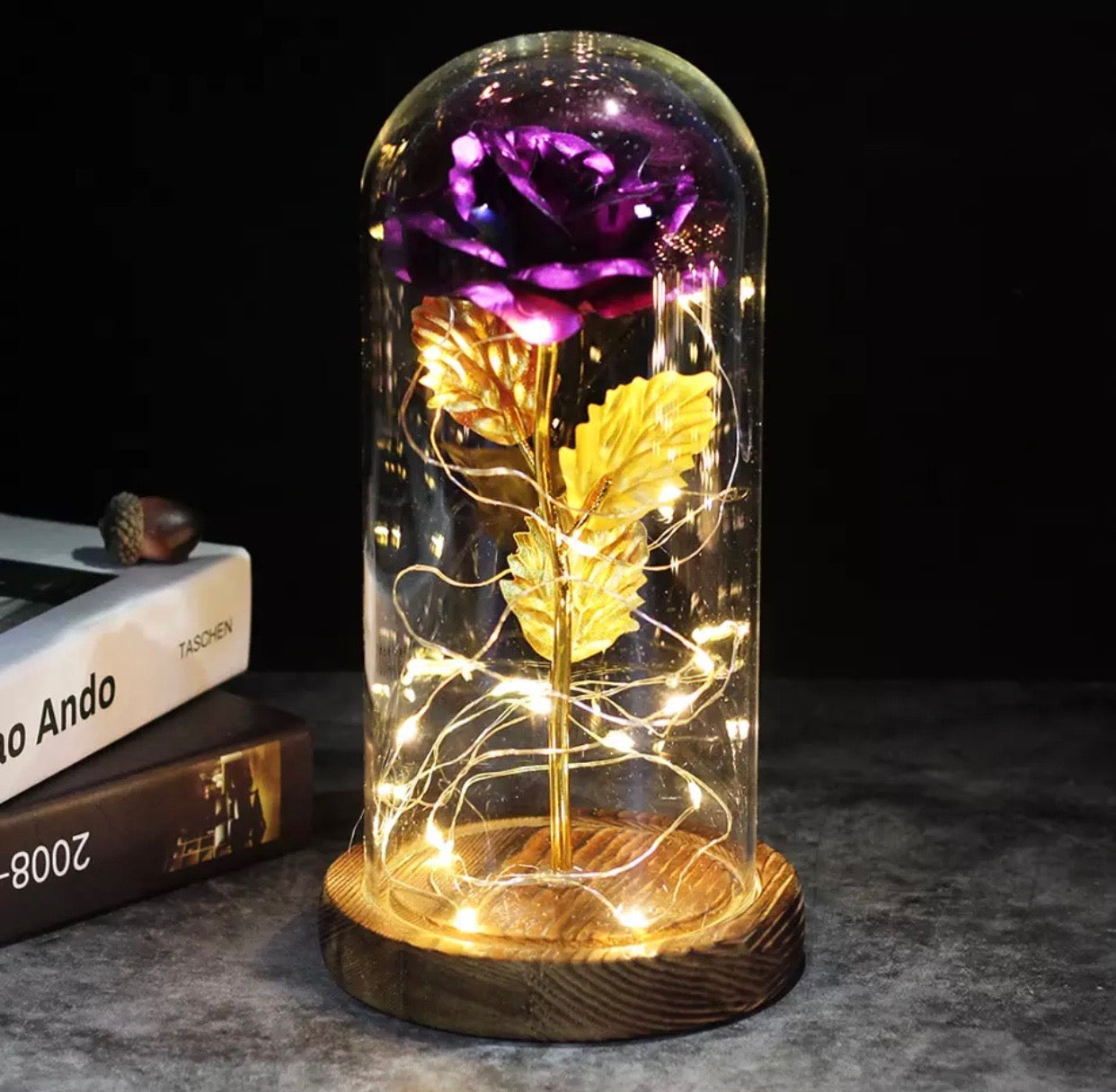 Enchanted Rose - Science Factory