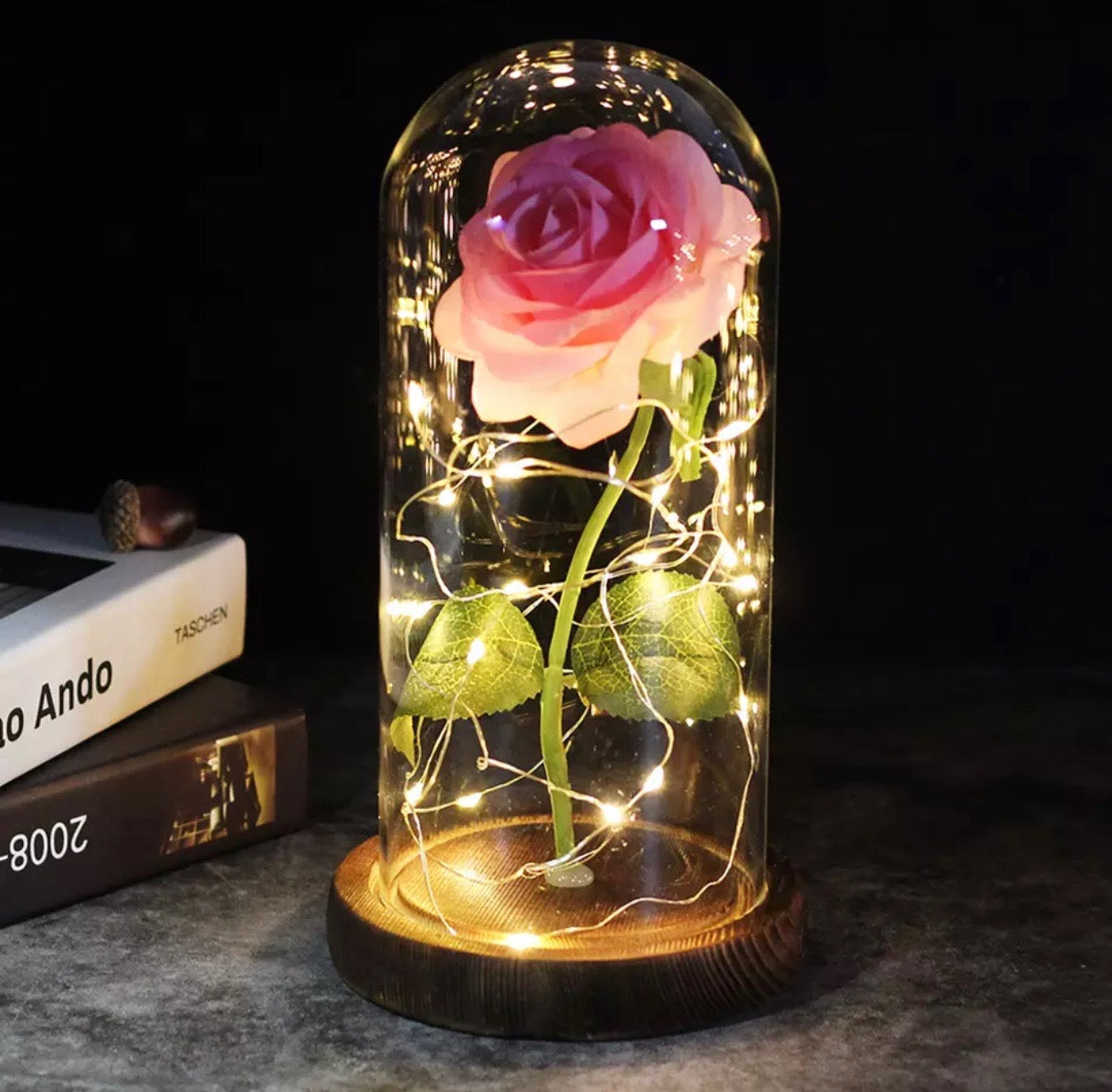 Enchanted Rose - Science Factory