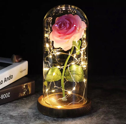 Enchanted Rose - Science Factory