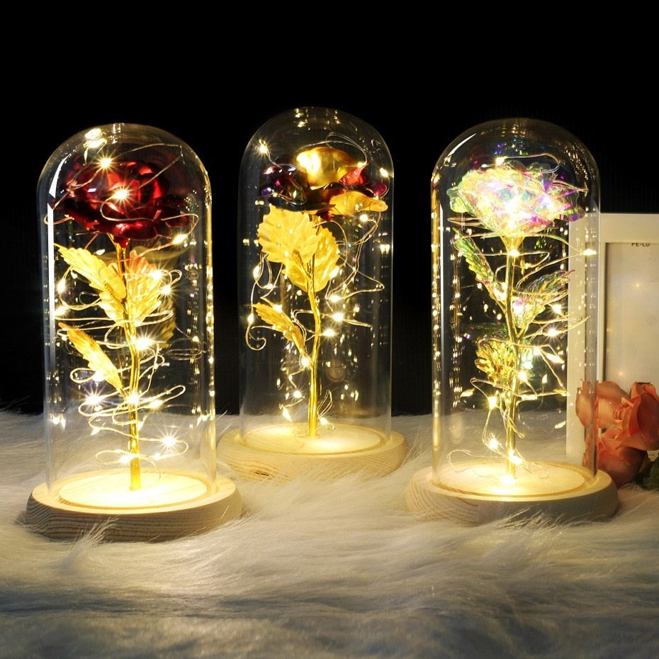 Enchanted Rose - Science Factory